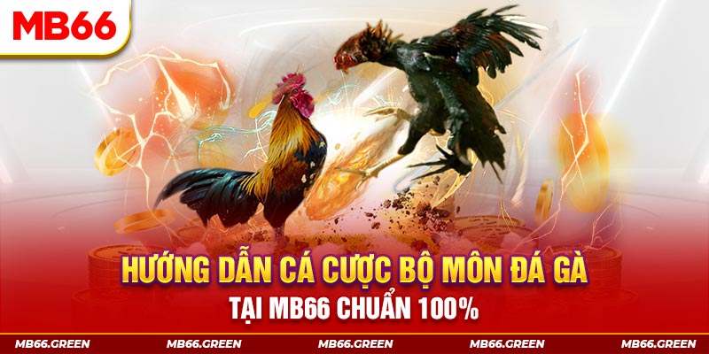 88win kết quả xổ số miền bắc ngày hôm nay