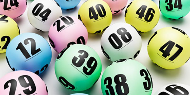 88win gà chọi c1 mới nhất