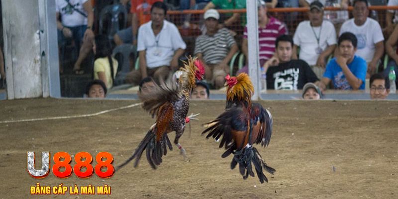 88win đăng nhập mậu binh khuyến mãi