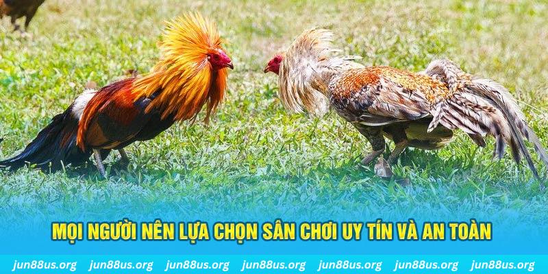 88win Cỡ bảy