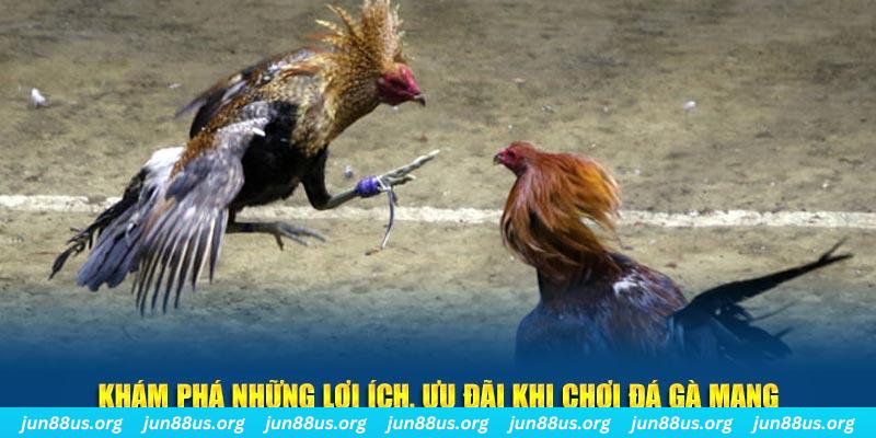88win đăng nhập liêng live