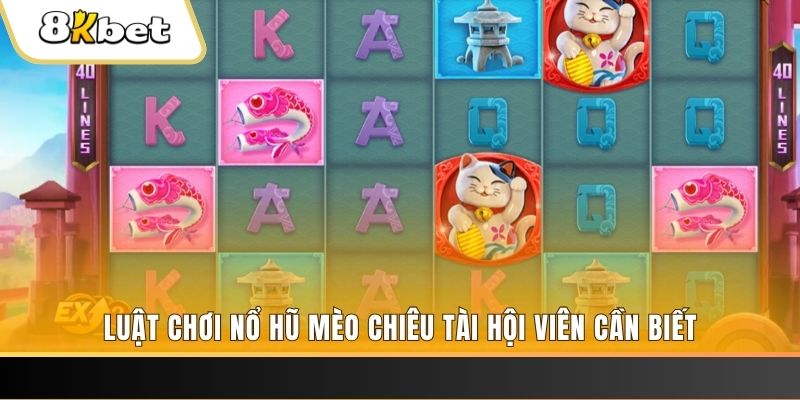88win gà chọi cu cần