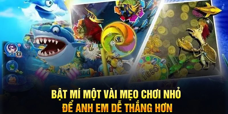88win xổ số thứ ba