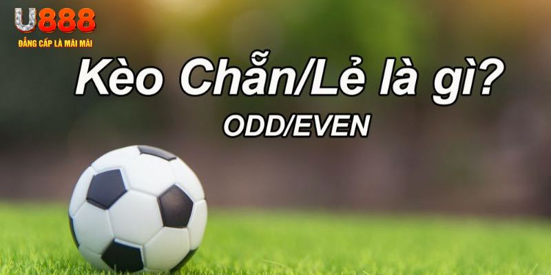 88win đăng nhập sòng bạc 2024