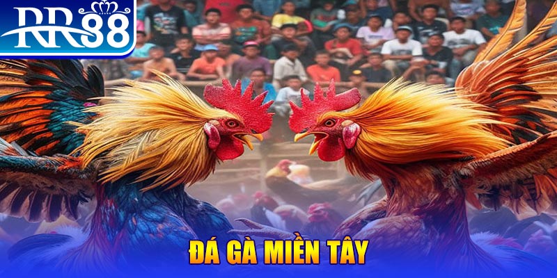 88win người chia bài trong casino gọi là gì