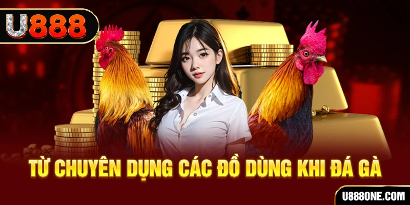 88win đá gà trực tiếp campuchia